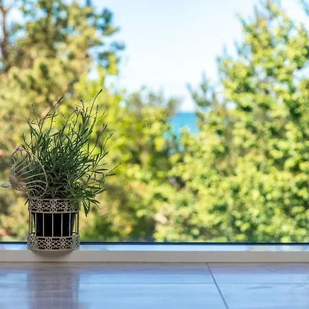 Apartment Sand Dunes