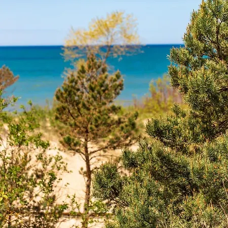 Sand Dunes * Palanga